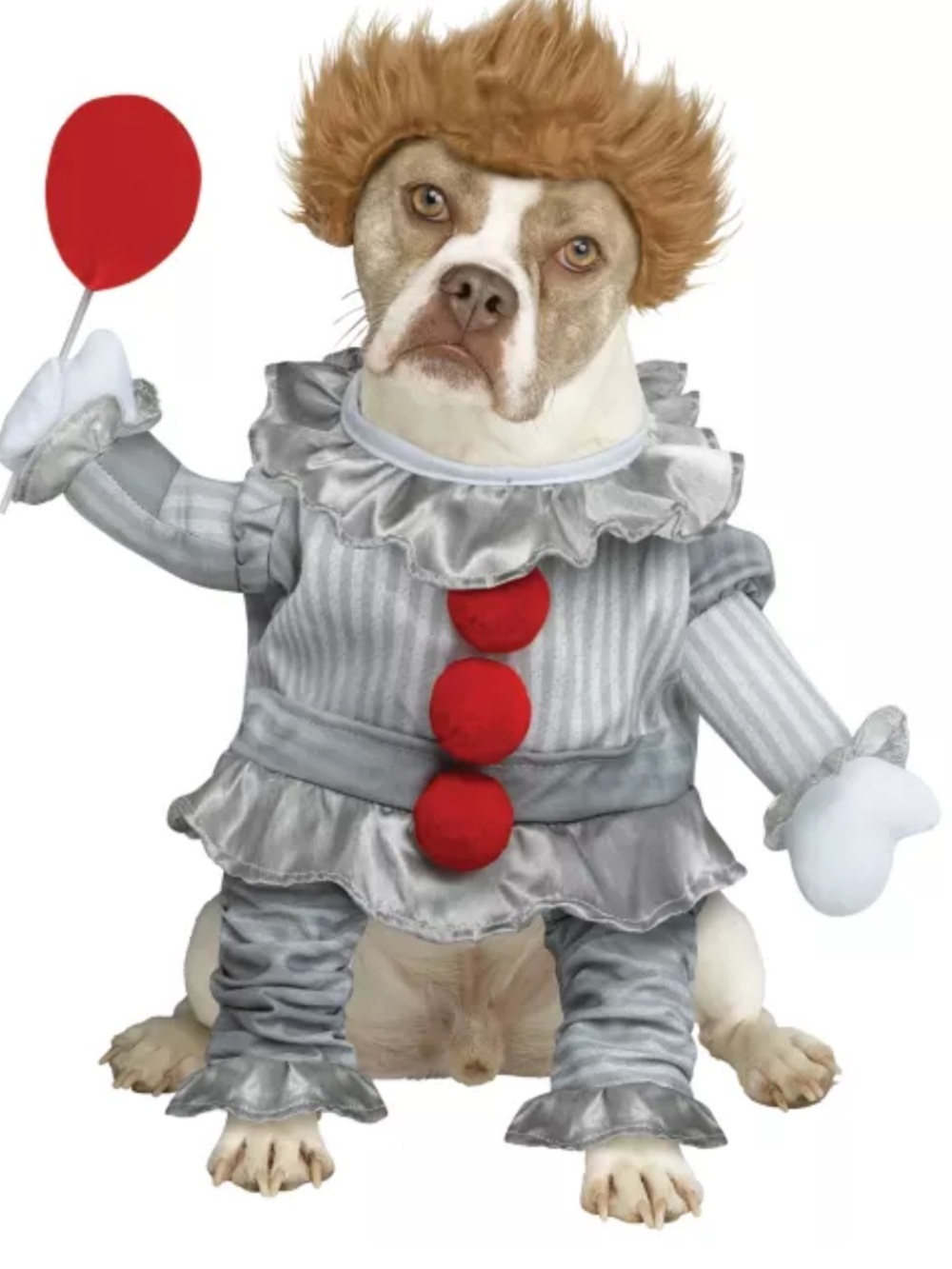 SPIRIT HALLOWEEN  Pennywise It Clown Pet Dog Cat Costume Balloon Stephen King